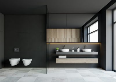 Dark grey bathroom with double sink and toilet